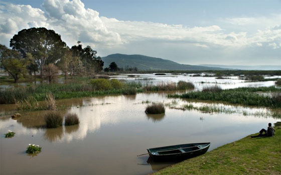   مصر اليوم - القالة الجزائرية عاصمة للمرجان في العالم وتضم أجمل المناظر الطبيعية الهائلة